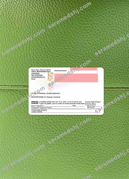 USA Tennessee driving license under 21 photolook BACK